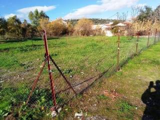 ΠΛΑΙΝΗ ΠΛΕΥΡΑ