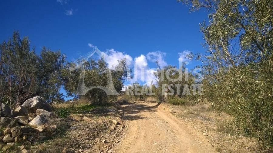 ΠΩΛΕΙΤΑΙ ΑΓΡΟΚΤΗΜΑ 6,7ΣΤΡΜ. ΣΤΑ ΠΥΡΓΙΩΤΙΚΑ ΝΑΥΠΛΙΟΥ