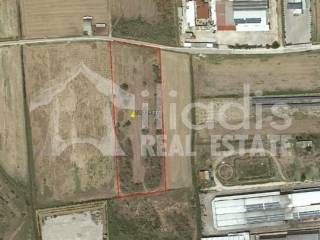 ΠΩΛΕΙΤΑΙ ΑΓΡΟΤΕΜΑΧΙΟ 10.228Μ2 ΣΤΗΝ ΔΑΛΑΜΑΝΑΡΑ