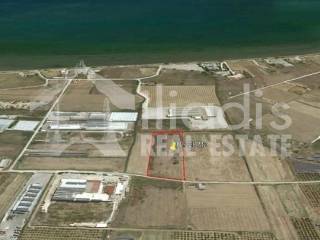 ΠΩΛΕΙΤΑΙ ΑΓΡΟΤΕΜΑΧΙΟ 10.228Μ2 ΣΤΗΝ ΔΑΛΑΜΑΝΑΡΑ