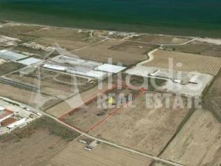 ΠΩΛΕΙΤΑΙ ΑΓΡΟΤΕΜΑΧΙΟ 10.228Μ2 ΣΤΗΝ ΔΑΛΑΜΑΝΑΡΑ