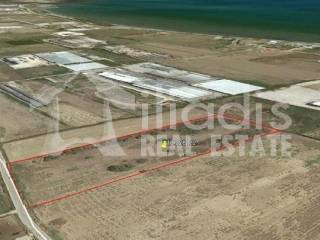 ΠΩΛΕΙΤΑΙ ΑΓΡΟΤΕΜΑΧΙΟ 10.228Μ2 ΣΤΗΝ ΔΑΛΑΜΑΝΑΡΑ