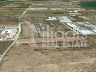 ΠΩΛΕΙΤΑΙ ΑΓΡΟΤΕΜΑΧΙΟ 10.228Μ2 ΣΤΗΝ ΔΑΛΑΜΑΝΑΡΑ