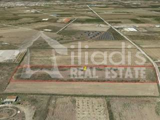 ΠΩΛΕΙΤΑΙ ΑΓΡΟΤΕΜΑΧΙΟ 10.228Μ2 ΣΤΗΝ ΔΑΛΑΜΑΝΑΡΑ