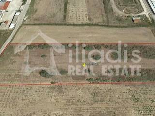 ΠΩΛΕΙΤΑΙ ΑΓΡΟΤΕΜΑΧΙΟ 10.228Μ2 ΣΤΗΝ ΔΑΛΑΜΑΝΑΡΑ