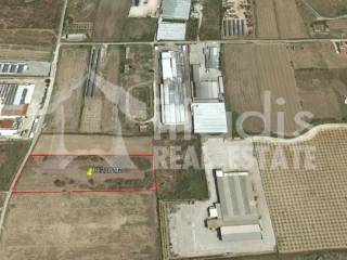 ΠΩΛΕΙΤΑΙ ΑΓΡΟΤΕΜΑΧΙΟ 10.228Μ2 ΣΤΗΝ ΔΑΛΑΜΑΝΑΡΑ