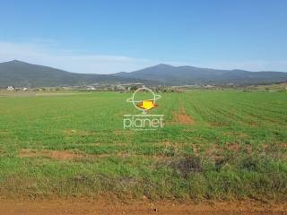 ΕΞΩΤΕΡΙΚΗ ΑΠΟΨΗ