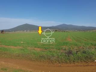 ΕΞΩΤΕΡΙΚΗ ΑΠΟΨΗ