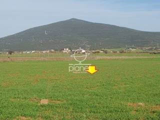 ΕΞΩΤΕΡΙΚΗ ΑΠΟΨΗ