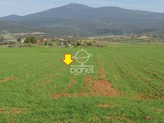 ΕΞΩΤΕΡΙΚΗ ΑΠΟΨΗ