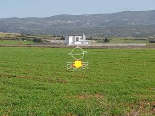 ΕΞΩΤΕΡΙΚΗ ΑΠΟΨΗ