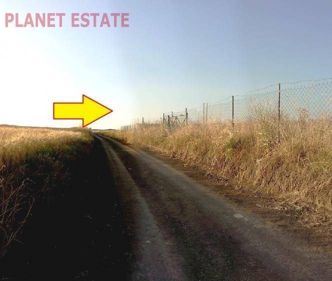 www.planet-estate.gr