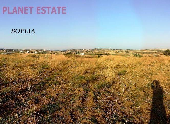 www.planet-estate.gr