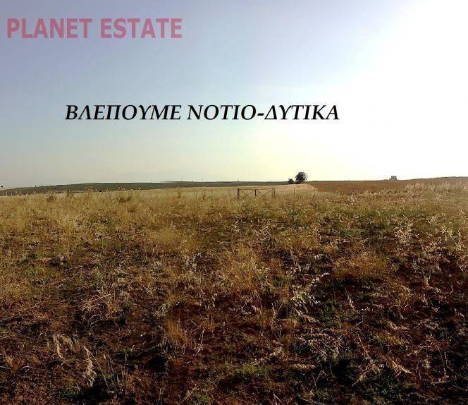 www.planet-estate.gr