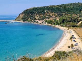 Παραλία Καμίνια / Kaminia beach (caretta-caretta)