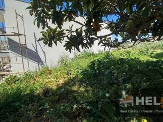 Αποψη χώρου