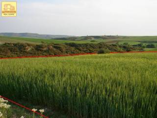 Άγιος Αντώνιος, Αγροτεμάχιο, 9.250 τ.μ.