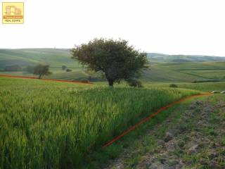 Άγιος Αντώνιος, Αγροτεμάχιο, 9.250 τ.μ.