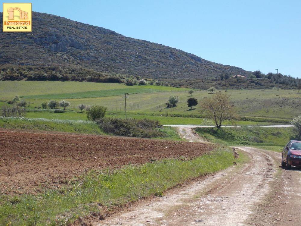 Πετράλωνα, Αγροτεμάχιο, 5.576 τ.μ.