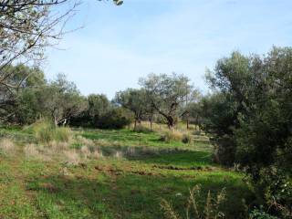 ΑΡΤΙΟ ΚΑΙ ΟΙΚΟΔΟΜΗΣΙΜΟ