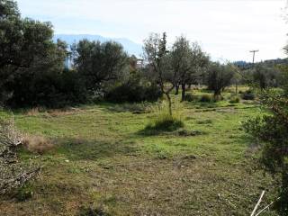 ΣΕ ΗΣΥΧΗ ΓΕΙΤΟΝΙΑ