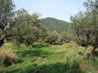 ΚΤΙΖΕΙ 400 Τ. Μ.