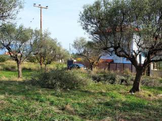 ΕΝΤΟΣ ΟΙΚΙΣΜΟΥ