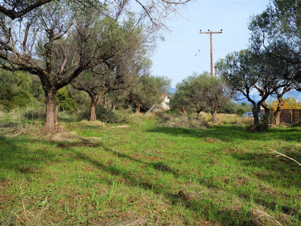 ΚΑΤΑΛΛΗΛΟ ΓΙΑ ΜΟΝΙΜΗ ΚΑΤΟΙΚΙΑ