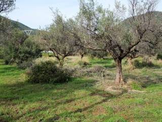 ΜΕΓΑΛΗ ΕΚΤΑΣΗ ΚΑΙ ΓΙΑ ΕΠΕΝΔΥΣΗ