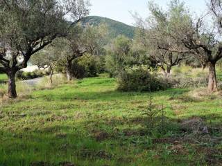 ΜΕ ΠΡΟΣΟΨΗ ΣΕ ΔΥΟ ΔΡΟΜΟΥΣ