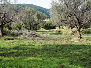 ΚΑΤΑΛΛΗΛΟ ΚΑΙ ΓΙΑ ΕΞΟΧΙΚΗ ΚΑΤΟΙΚΙΑ