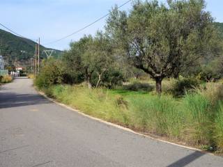 ΜΕΓΑΛΟΣ ΔΡΟΜΟΣ ΜΠΡΟΣΤΑ ΑΠΟ ΤΟ ΟΙΚΟΠΕΔΟ