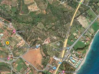 Ο ΑΝΩ ΠΛΑΤΑΝΙΤΗΣ ΑΠΟ ΨΗΛΑ