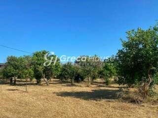 Οικόπεδο Ενα Βήμα από την Θάλασσα προς Πώληση στην Εύβοια.