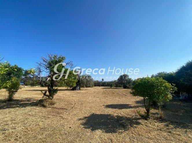 Plot One Step from the Sea for Sale in Evia.