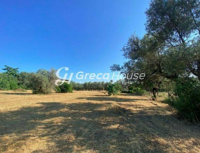 Plot One Step from the Sea for Sale in Evia.