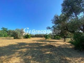 Plot One Step from the Sea for Sale in Evia.