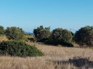 plot of land of 25,000 sq.m. is for sale ιin Petrothalassa