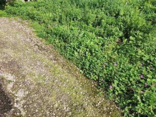 Εξωτερική άποψη