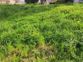 Εξωτερική άποψη