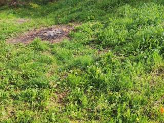 Εξωτερική άποψη