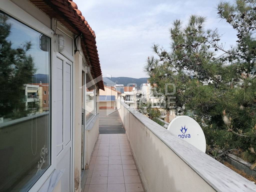 εξωτερική άποψη