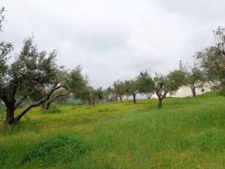 ΟΙΚΟΠΕΔΟ ΑΚΙΝΗΤΟΥ