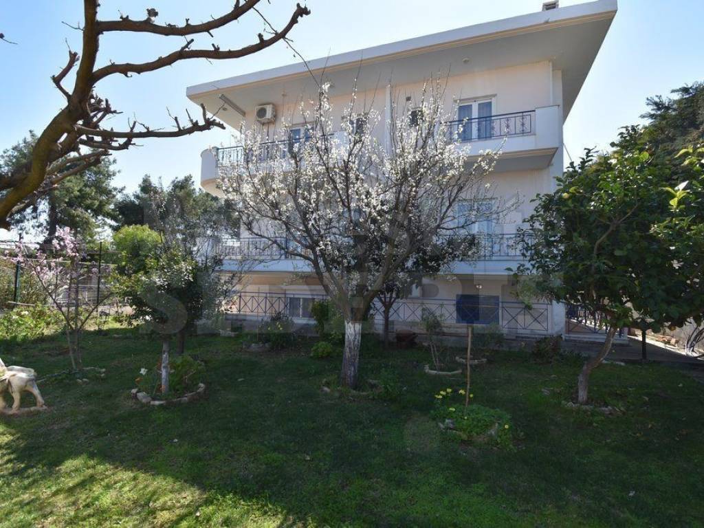 Πολικατοικία