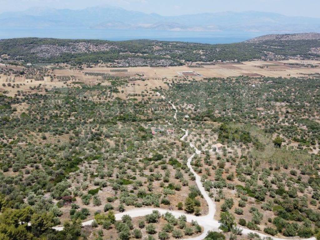 Αγροτεμάχιο με θέα θάλασσα