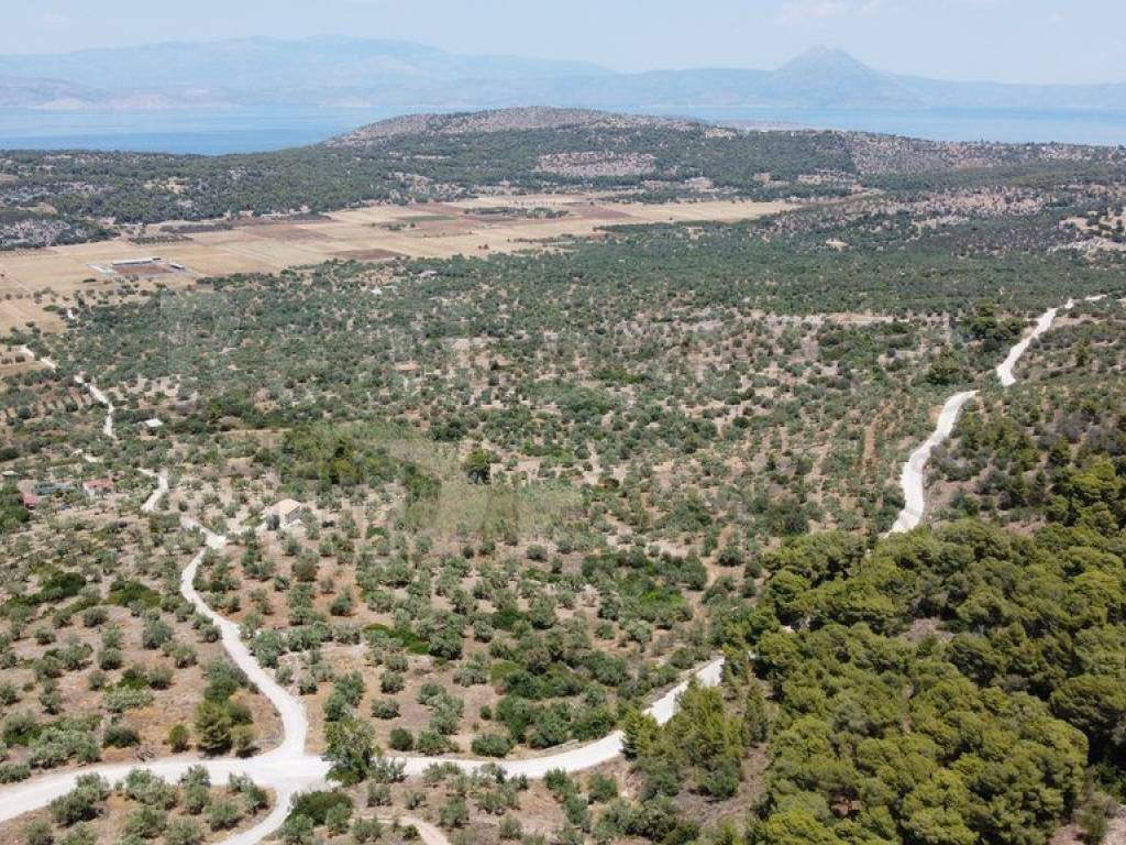 Αγροτεμάχιο με θέα θάλασσα