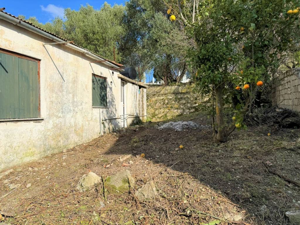 House exterior and garden views