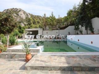 Excellent furnished villa for sale in Epidaurus