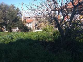 Αποψη χώρου