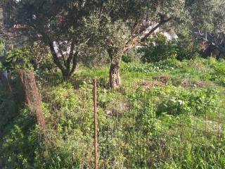 Αποψη χώρου